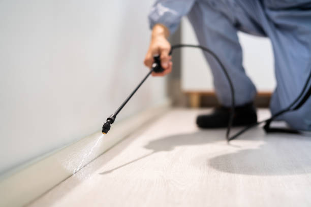 Licensed Mosquito Control service in Bay St. Louis, MS - Nex Pest Control