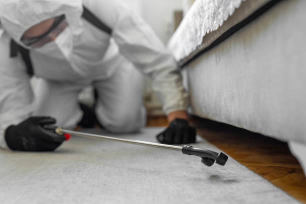 Professional Mosquito Control technician working in Bay St. Louis, MS