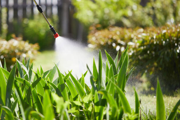 24/7 Emergency Mosquito Control experts in Bay St. Louis, MS