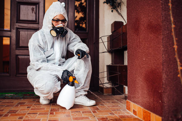 Reliable Mosquito Control contractor in Bay St. Louis, MS by Nex Pest Control