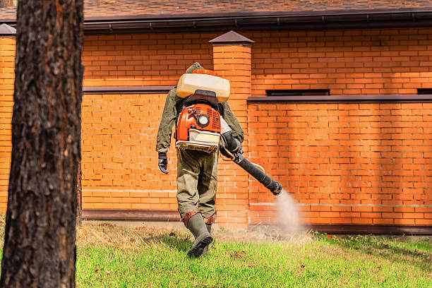 Trusted Ant Control service in Bay St. Louis, MS - Nex Pest Control